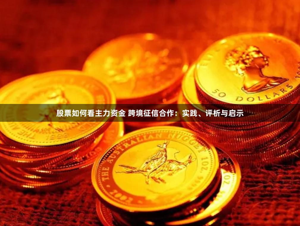 股票如何看主力资金 跨境征信合作：实践、评析与启示