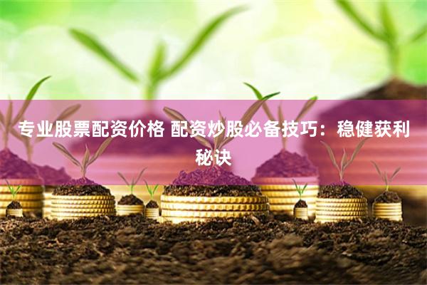专业股票配资价格 配资炒股必备技巧：稳健获利秘诀